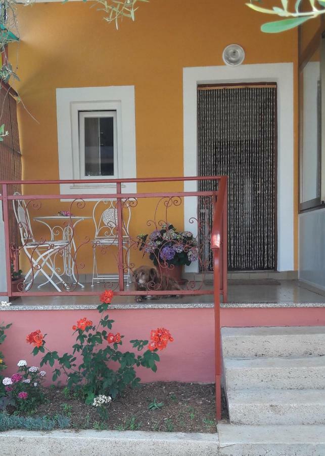 Apartman Dea Crveni Vrh Exterior photo